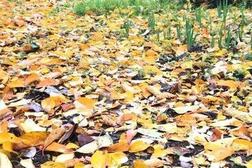 پانسیون Au Rez De Jardin