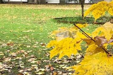 پانسیون Au Rez De Jardin