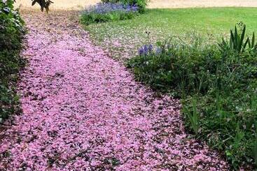 پانسیون Au Rez De Jardin
