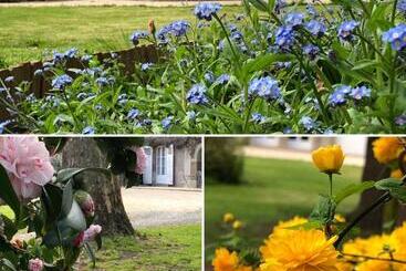 پانسیون Au Rez De Jardin