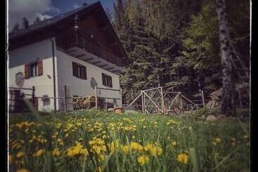 B&b Alle Betulle