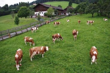 هتل Schartlhof
