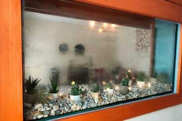 پانسیون Apartments & Rooms Saša