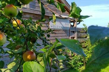B&b Molenstreek
