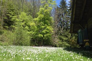 تختخواب و صبحانه Chalet Ingas