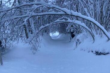 تختخواب و صبحانه Chalet Ingas
