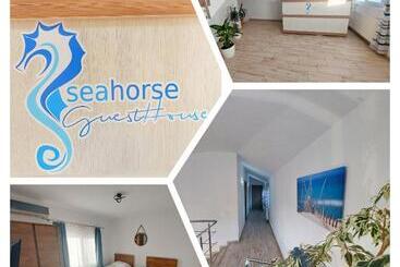 پانسیون Seahorse Guesthouse
