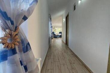 پانسیون Seahorse Guesthouse