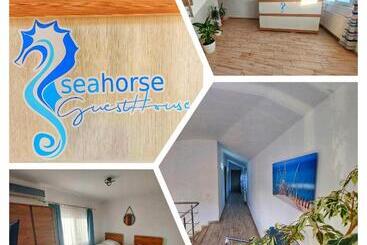 پانسیون Seahorse Guesthouse