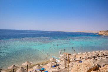Dive Inn Resort