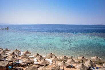 Dive Inn Resort