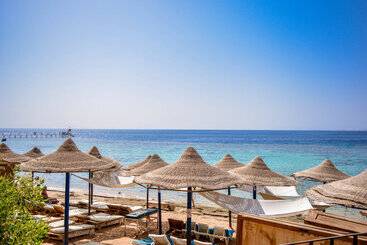 Dive Inn Resort