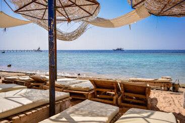 Dive Inn Resort