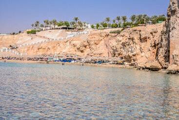 Dive Inn Resort