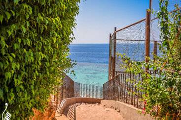 Dive Inn Resort