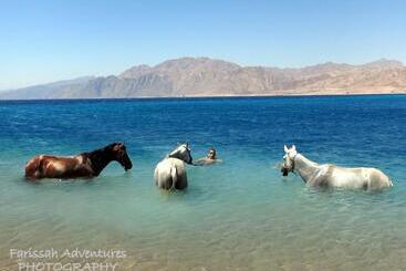 هتل Blue Beach Club