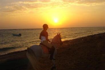 هتل Blue Beach Club