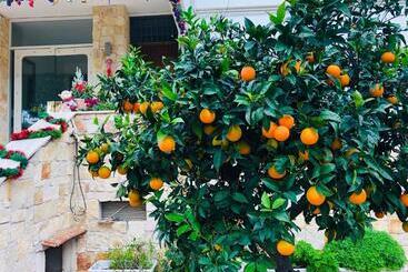 تختخواب و صبحانه Dream & Relax Villa Fiore