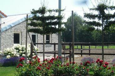 B & B  De 7 Sprong