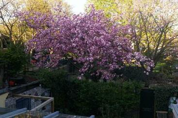 تختخواب و صبحانه Bed En Broodje Bloem