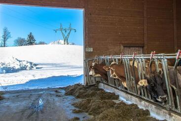 هتل Bio Bauernhof Niederlehen