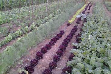 هتل Casa Rural Finca Las Dulces