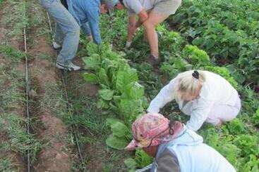 هتل Casa Rural Finca Las Dulces