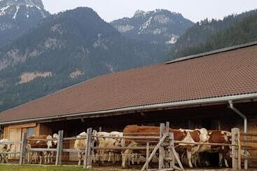 هتل Haidacherhof