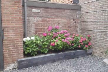 Bed and Breakfast De Notenbalk Aan Zee