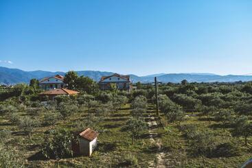 B&b L Uliveto