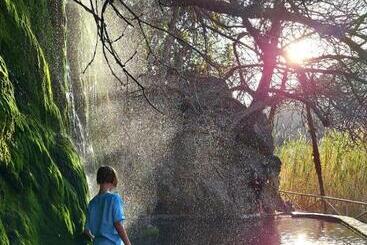 تختخواب و صبحانه Finca Oliva