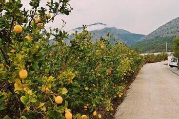 تختخواب و صبحانه Finca Oliva