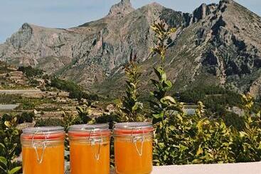 تختخواب و صبحانه Finca Oliva