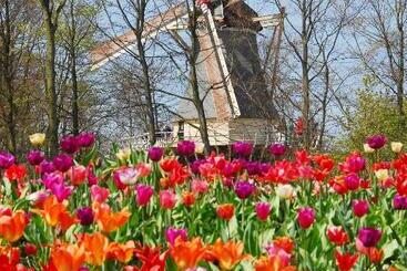تختخواب و صبحانه Nr22 Leiden