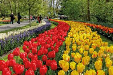 تختخواب و صبحانه Nr22 Leiden