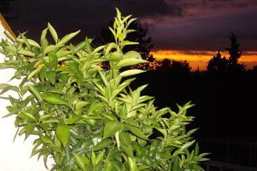 تختخواب و صبحانه Le Mas Des Cigales
