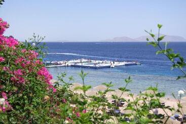 هتل Domina Coral Bay Resort, Diving , Spa & Casino