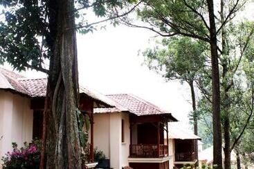 هتل Tea County