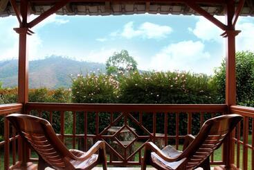 هتل Tea County
