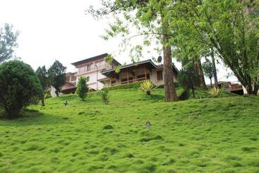 هتل Tea County