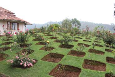 هتل Tea County
