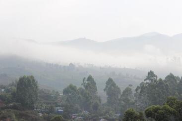 هتل Tea County