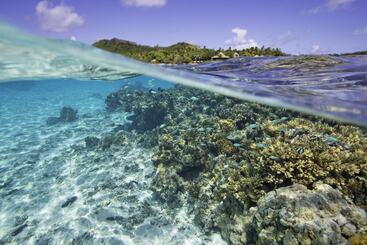 هتل Pacific Resort Aitutaki Adults Only