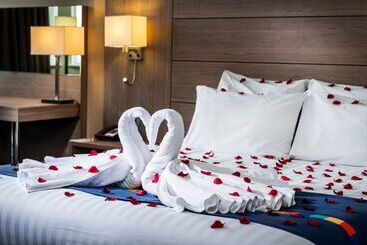 هتل Park Inn By Radisson Palace