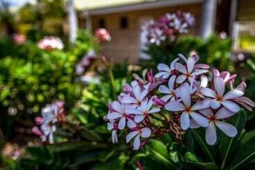هتل The Kimberley Grande Resort