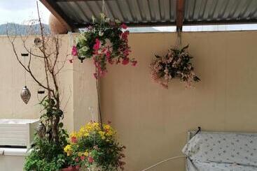 Albisola Bed And Breakfast