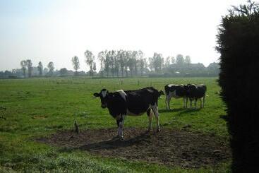 B&b De Kleine Prins