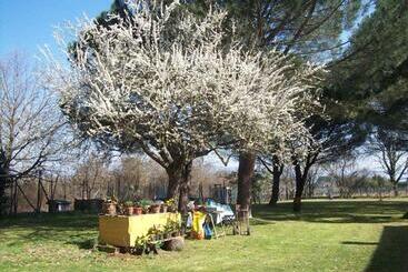 تختخواب و صبحانه Campo Alle Monache