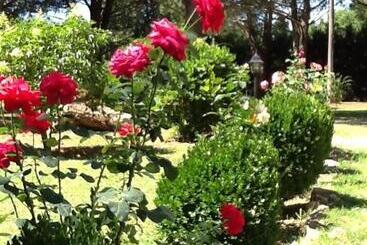 تختخواب و صبحانه Campo Alle Monache