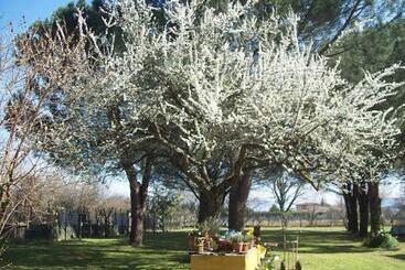 تختخواب و صبحانه Campo Alle Monache